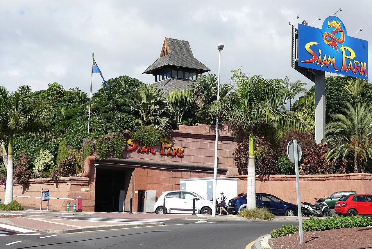 Costa Adeje Tenerife met zwembaden en hotels aan de kust