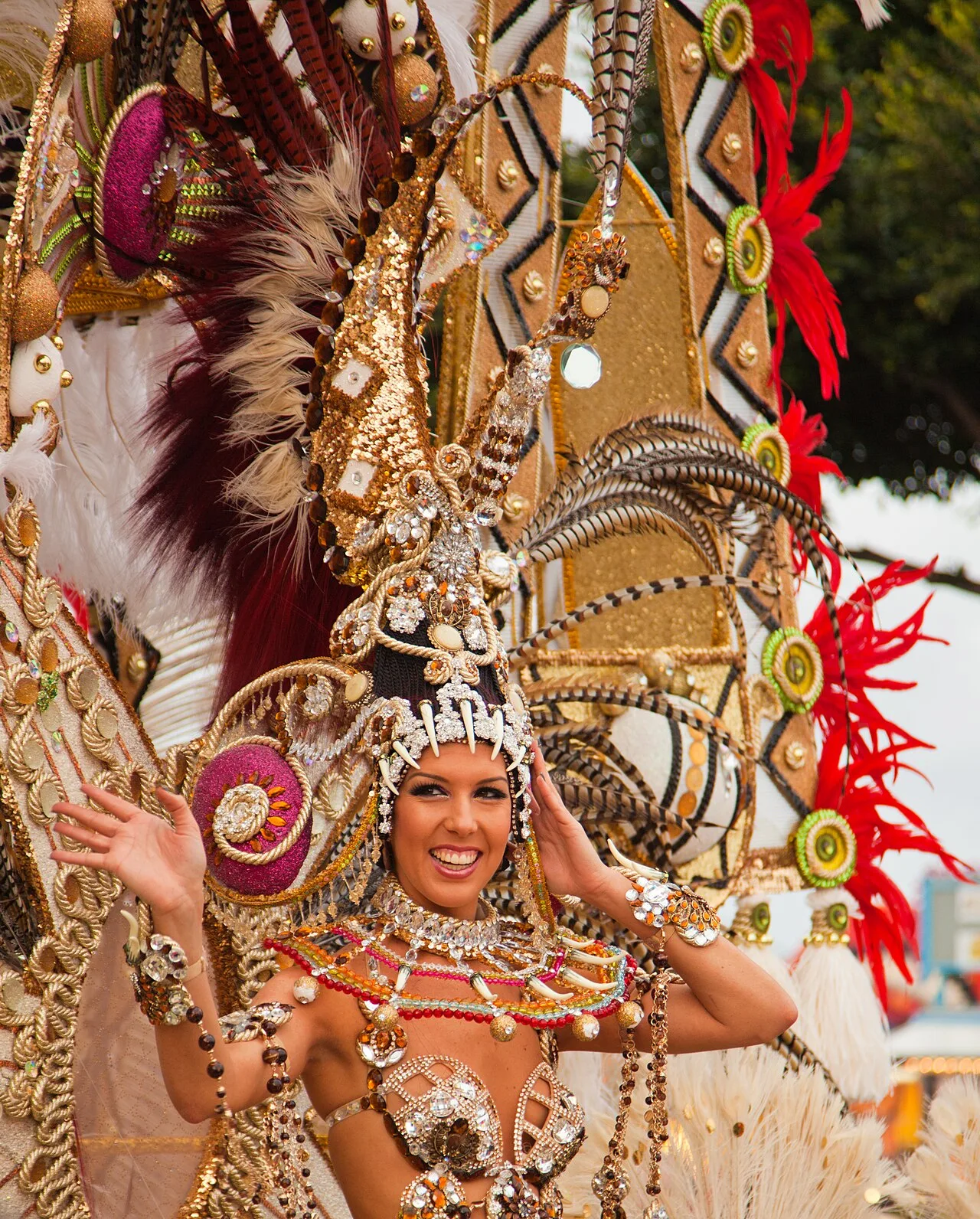 Kleurrijke deelnemer in uitbundig kostuum tijdens het carnaval van Santa Cruz de Tenerife