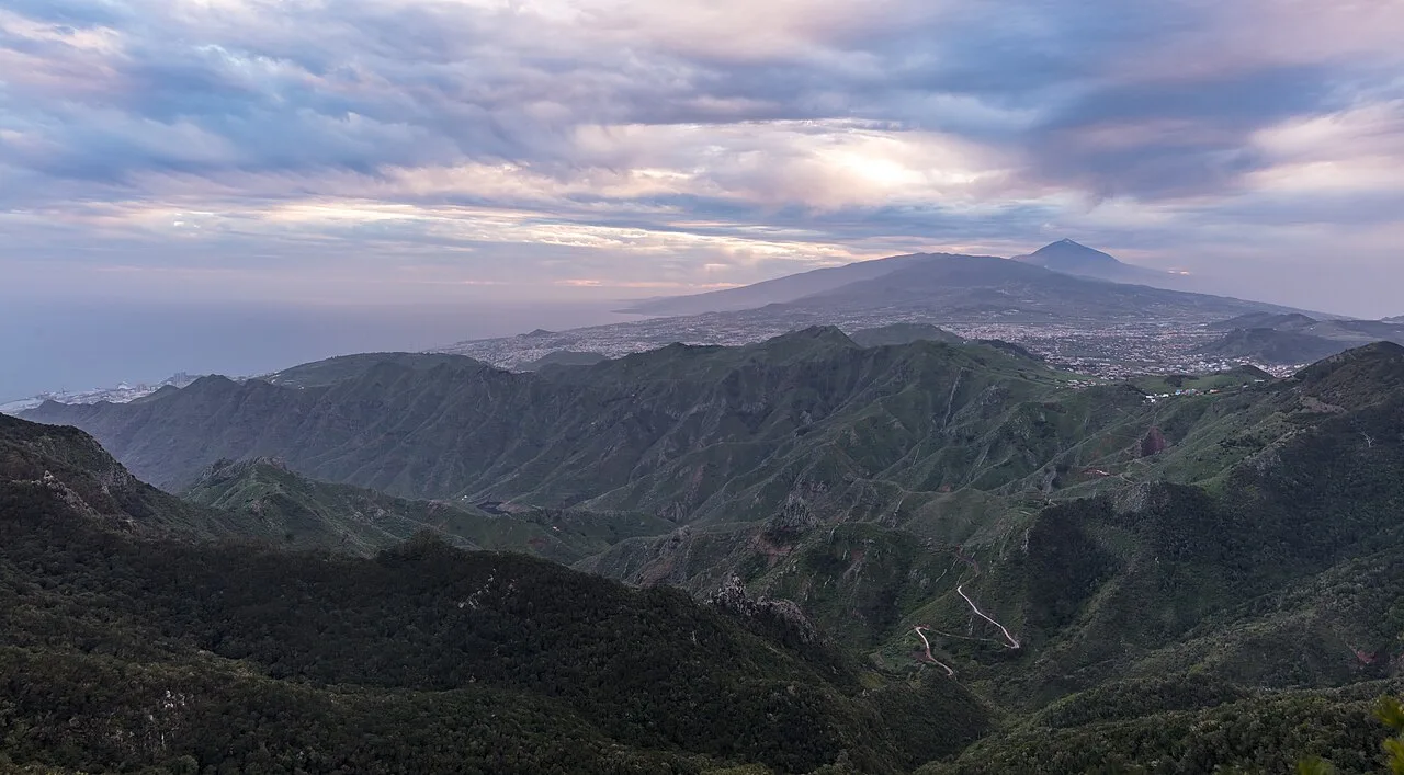 Weelderig groene natuur in het Anaga Rural Park op Tenerife, ideale omgeving voor glamping