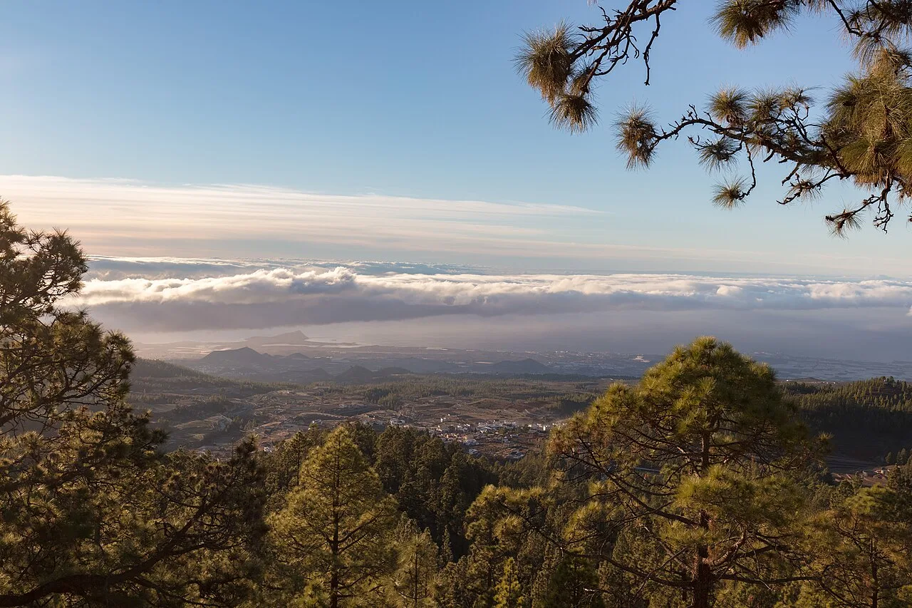 Uitzicht over het dorp Vilaflor op 1.400 meter hoogte in Tenerife, omgeven door dennenbossen
