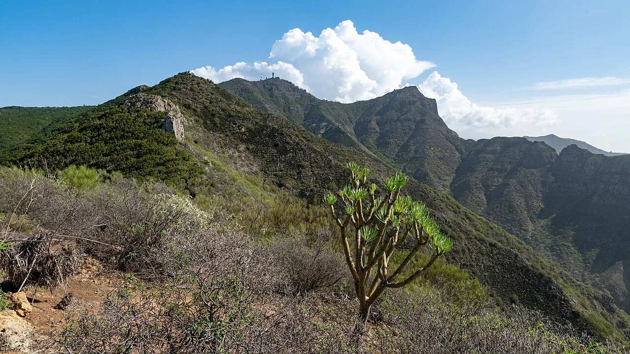 Uitzicht tijdens de wandeling van Santiago del Teide naar Masca richting Risco Verde op Tenerife